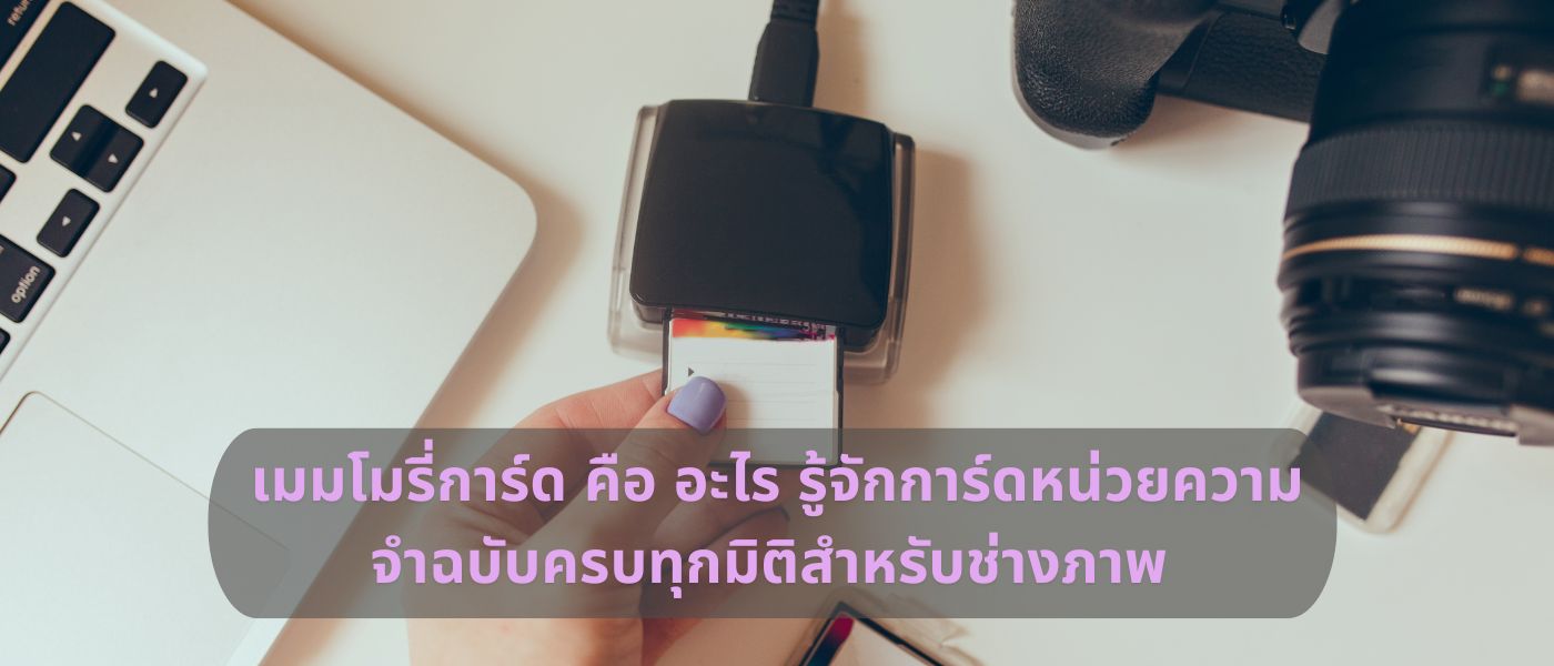 เมมโมรี่การ์ด คือ อะไร รู้จักการ์ดหน่วยความจำฉบับครบทุกมิติสำหรับช่างภาพ